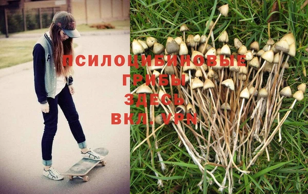 амф Медвежьегорск