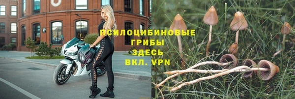 мескалин Михайлов
