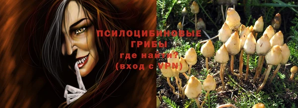 дмт Мегион