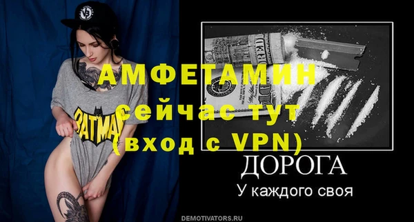 дмт Мегион