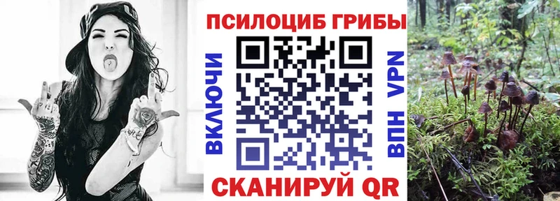 Галлюциногенные грибы GOLDEN TEACHER Купить закладки Калязин